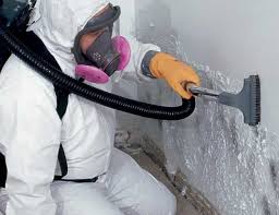 Mold Odor Removal Services in Crestline, OH